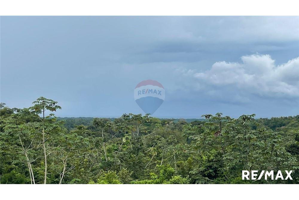 Commercio - Terreno - Puntarenas, Puntarenas - Puntarenas, Costa Rica - Caribbean & Central Ameri - 6 - 90168045-6