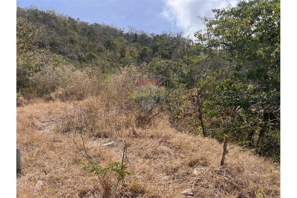 Commercial - Land - Spring, Bequia, St Vincent and the Grenadines - Caribbean & Central Ameri - 2 - 90109004-54