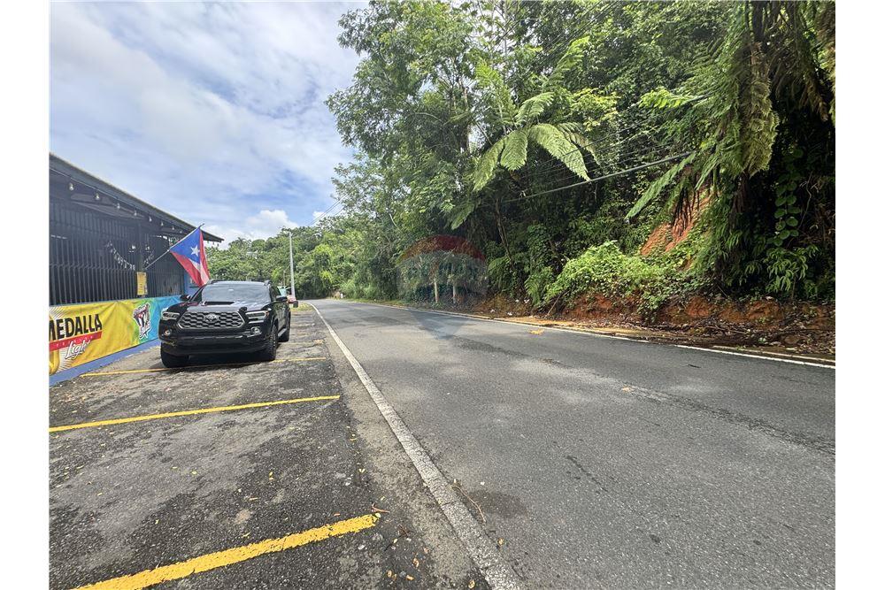 Sale of Business - For Rent/Lease - Cupey, San Juan, Puerto Rico - 12 - 90156053-34