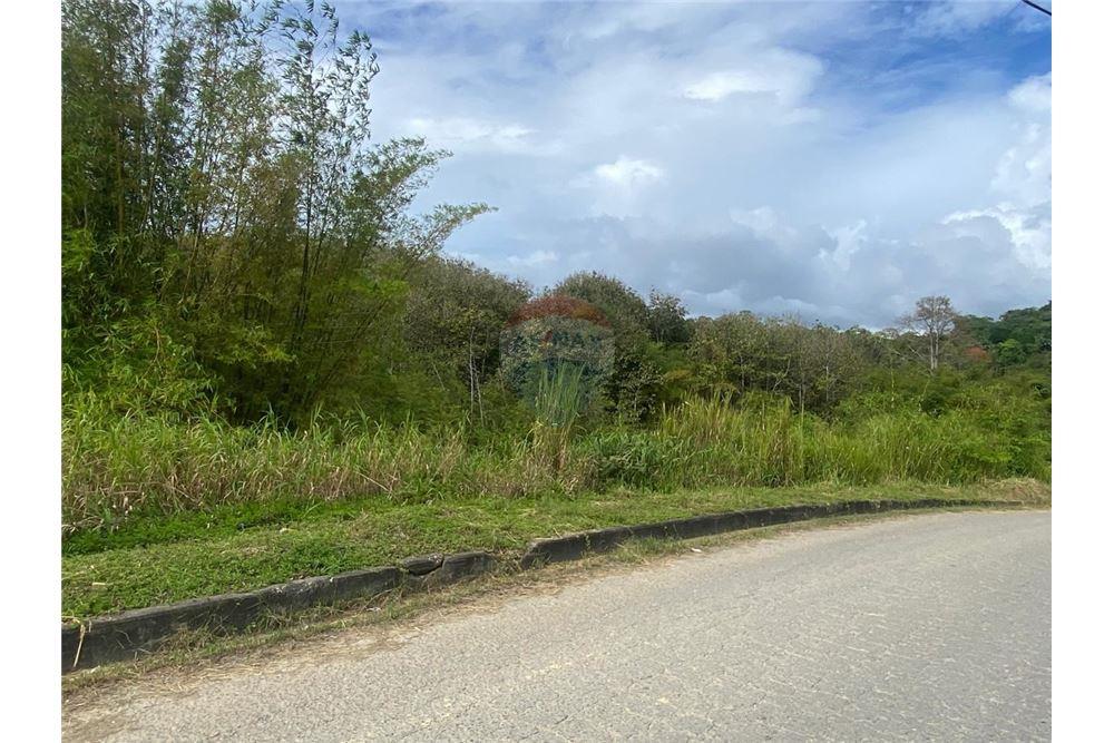 Land - For Sale - Tabaquite, Caroni, Trinidad and Tobago - 8 - 90155109-151