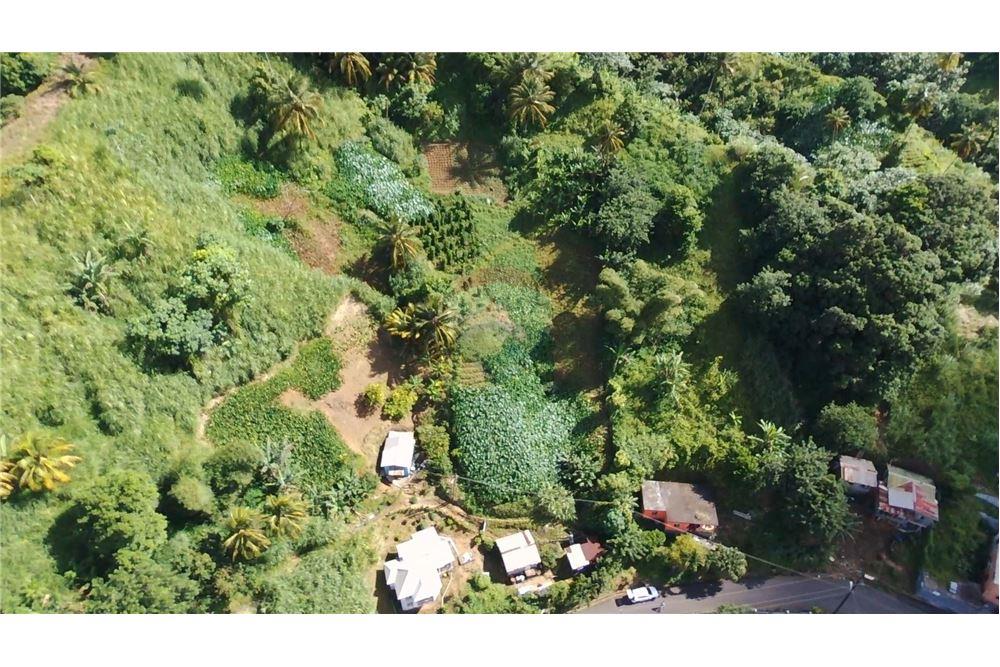 商业 - 土地 - Lowmans Windward, St Vincent, St Vincent and the Grenadines - Caribbean & Central Ameri - 7 - 90109001-320