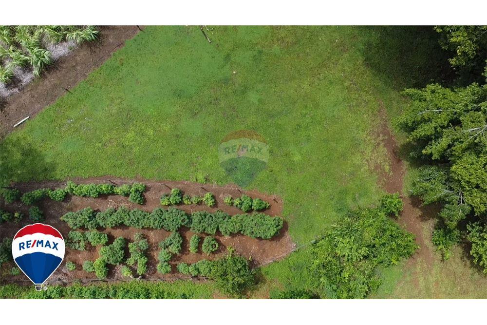 Commercio - Terreno - San José, San José, Costa Rica - Caribbean & Central Ameri - 21 - 90168030-67