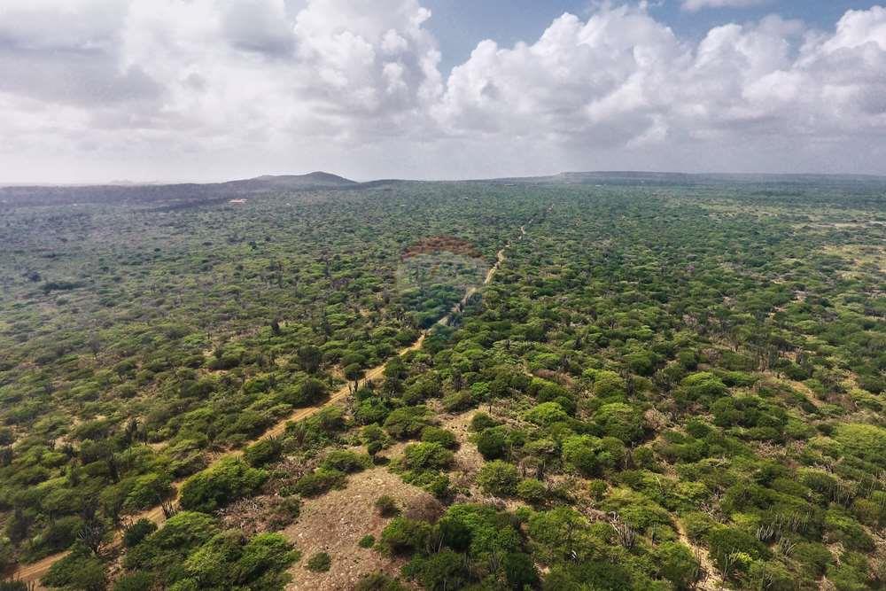 Prime 30-Acre Estate in Gated Community