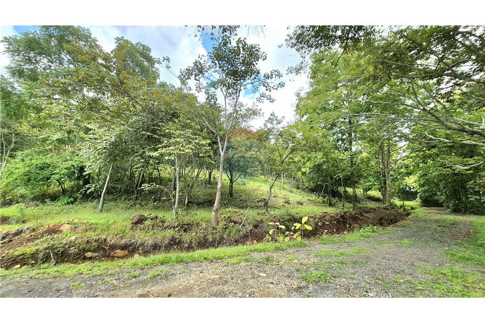 Commercial - Land - Atenas, Alajuela- Atenas, Costa Rica - Caribbean & Central Ameri - 13 - 90128007-183