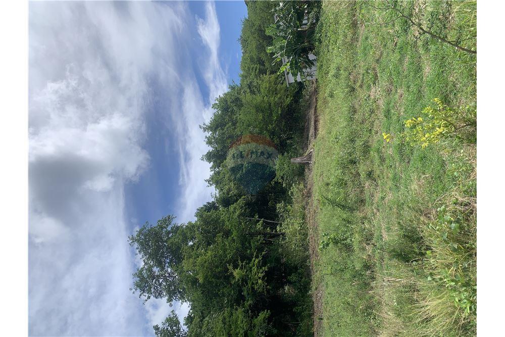 Commercial - Land - Gros Islet, Gros-Islet, St Lucia - Caribbean & Central Ameri - 3 - 902071001-212