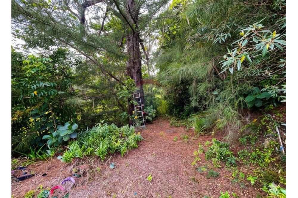 Land - For Sale - Vega Baja, Vega Baja, Puerto Rico - 11 - 90156053-35