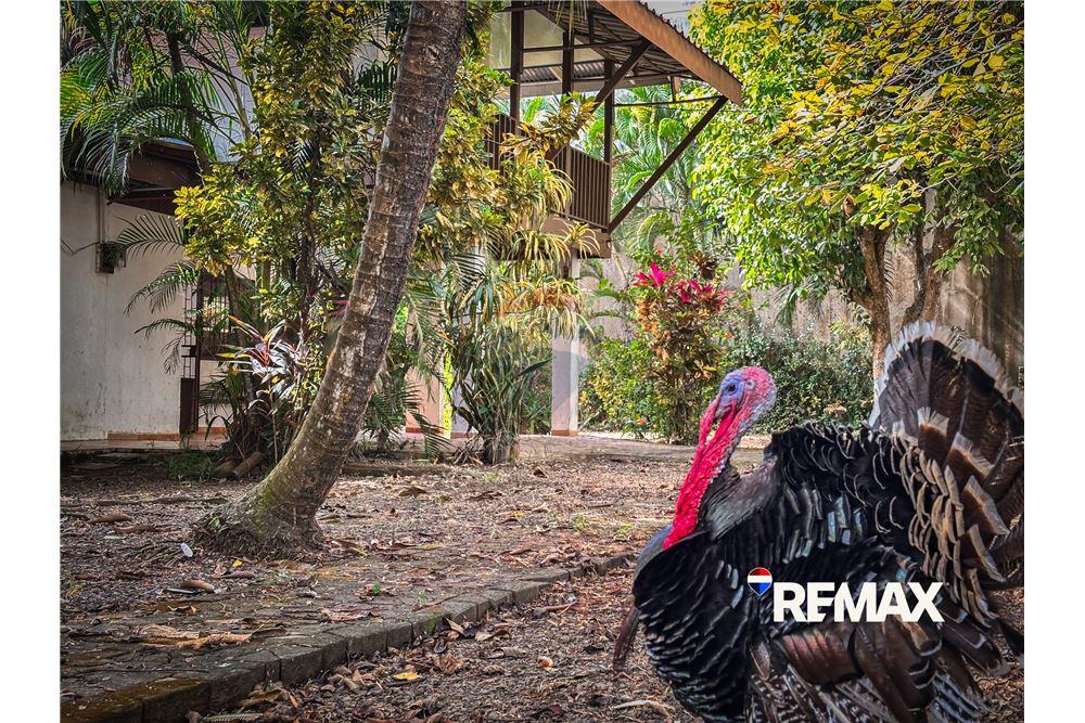 Residential - Villa - Jaco - Herradura, Puntarenas- Garabito, Costa Rica - Caribbean & Central Ameri - 9 - 90168050-34