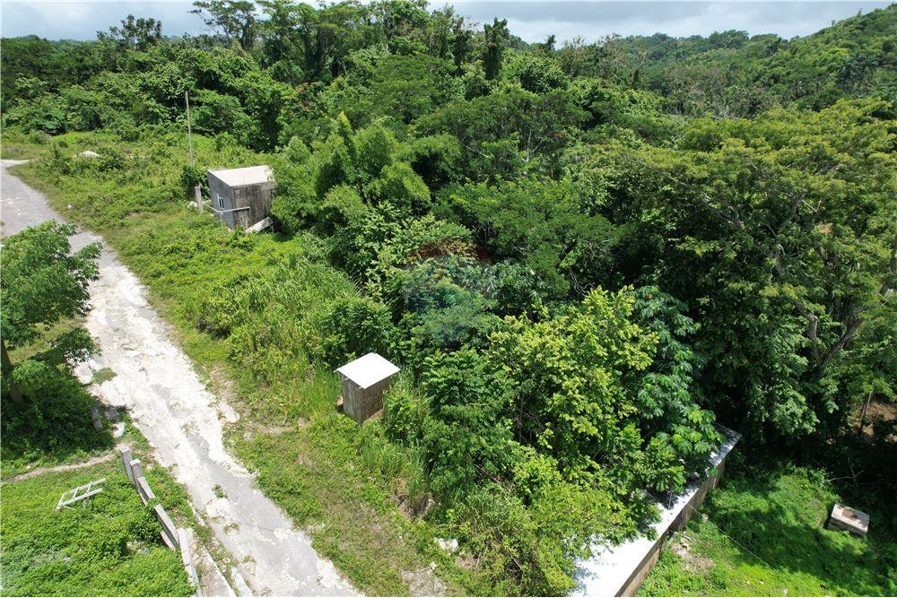 Land - For Sale - Lucea, Hanover Parish, Jamaica - 9 - 902421019-7