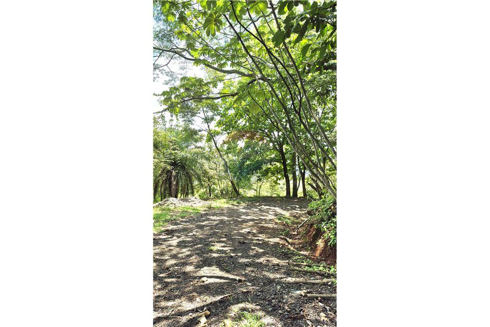 Commercial - Land - Atenas, Alajuela- Atenas, Costa Rica - Caribbean & Central Ameri - 21 - 90128007-183