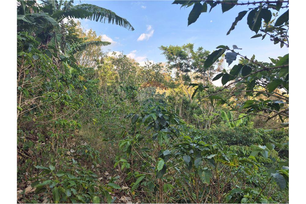 Commercial - Land - Atenas, Alajuela- Atenas, Costa Rica - Caribbean & Central Ameri - 9 - 90128007-166