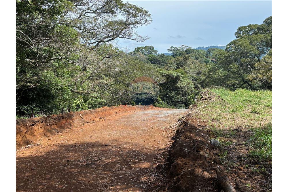 Grondstuk - Te Koop - Atenas, Alajuela- Atenas, Costa Rica - 10 - 90128002-974