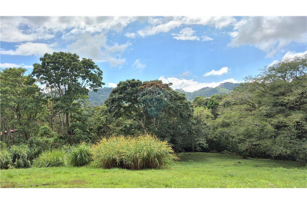 Comercial - Terreno - Atenas, Alajuela- Atenas, Costa Rica - Caribbean & Central Ameri - 7 - 90128007-195