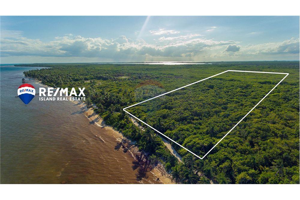 Commercial - Land - Ambergris Caye, Ambergris Caye, Belize - Caribbean & Central Ameri - 2 - 90135015-94