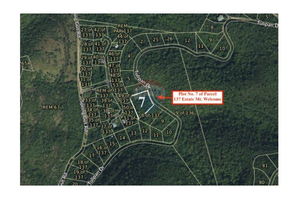 Grondstuk - Te Koop - Mount Welcome Estate, St Croix, US Virgin Islands - 1 - 90123001-1313