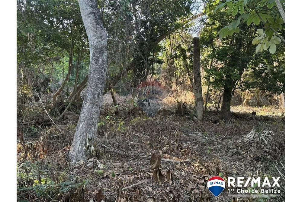 Comercial - Terreno - Hopkins, Stann Creek District, Belice - Caribbean & Central Ameri - 3 - 90127003-307