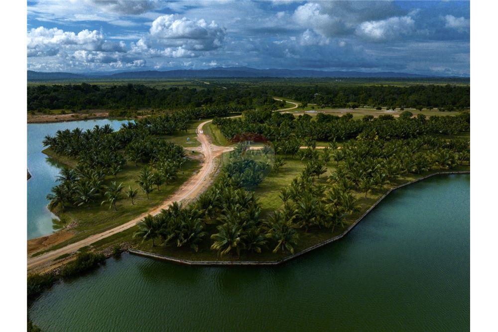 Commercial - Land - Stann Creek, Stann Creek District, Belize - Caribbean & Central Ameri - 12 - 90127022-91