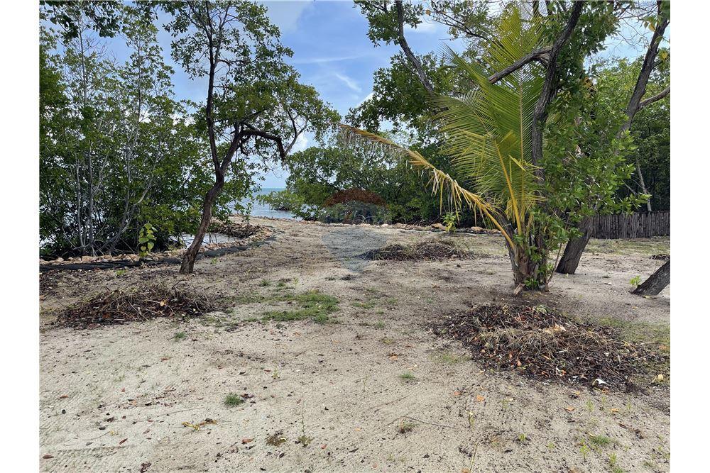 Commercial - Land - Placencia, Stann Creek District, Belize - Caribbean & Central Ameri - 11 - 90127016-276