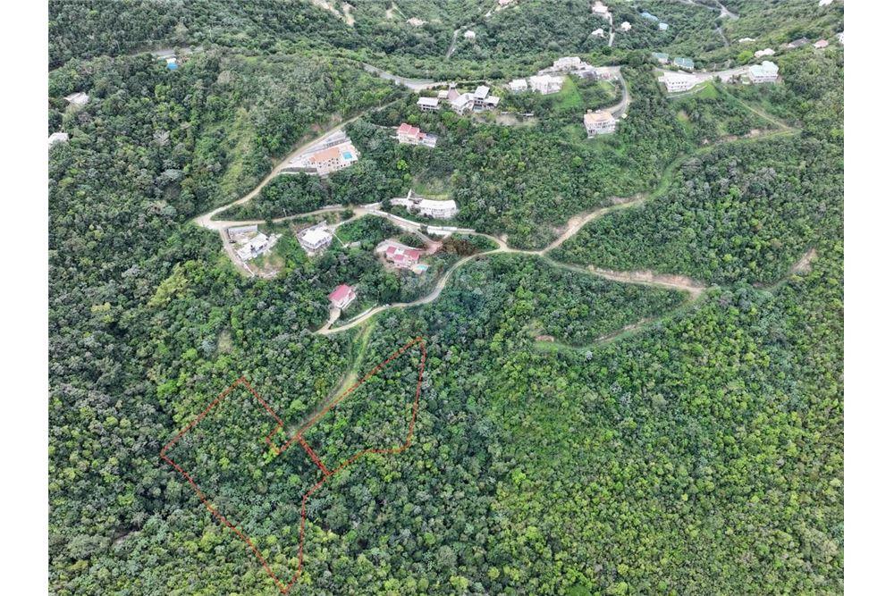 Grondstuk - Te Koop - Brewers bay, Tortola North Central, British Virgin Islands - 2 - 90134005-318