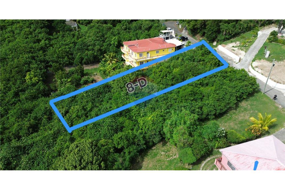 Land - For Sale - Clifton Hill, St Croix, US Virgin Islands - 4 - 90123034-103