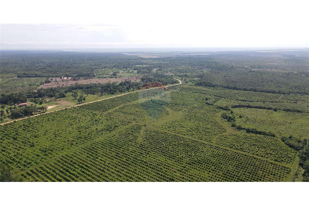 Venta de Negocio - Venta - Silk Grass, Stann Creek District, Belice - 7 - 901911013-62