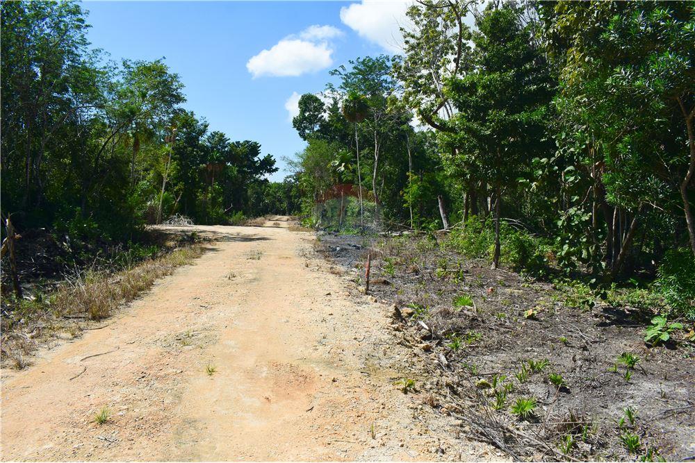 Surface commerciale - Autre terrain - Consejo, Corozal District, Belize - Caribbean & Central Ameri - 7 - 901411007-88