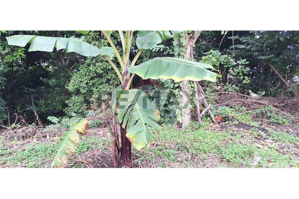 Land - For Sale - Rosario de Mora, San Salvador, El Salvador - 4 - 902271006-32