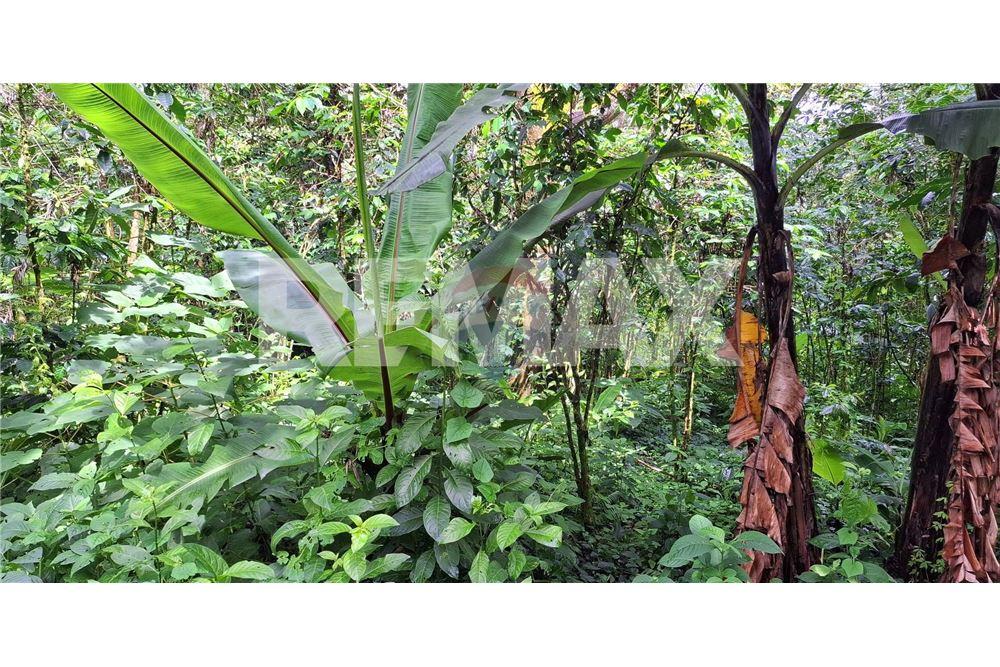 Grondstuk - Te Koop - Santa Elena Barillas, Guatemala, Guatemala - 11 - 902091017-26