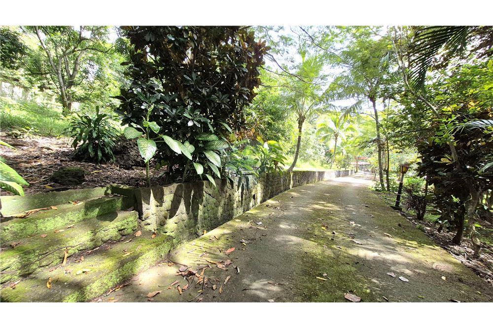 Residential - Villa - Atenas, Alajuela- Atenas, Costa Rica - Caribbean & Central Ameri - 26 - 90128007-190