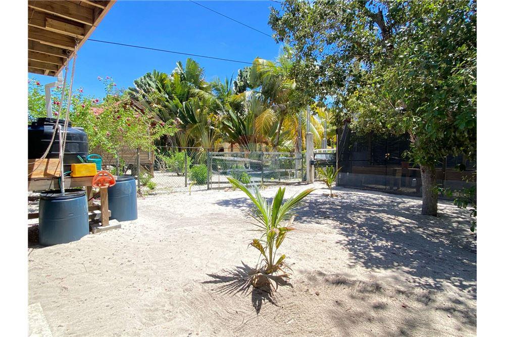Prédio Habitacional - Vila - Seine Bight, Stann Creek District, Belize - Caribbean & Central Ameri - 3 - 90127041-5