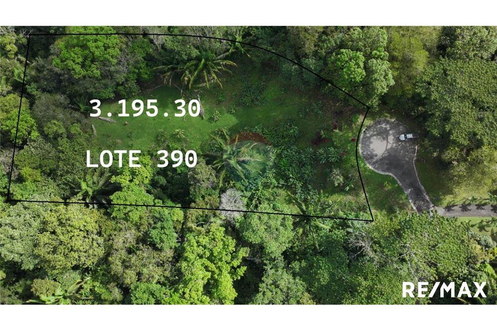 Comercial - Terreno - Parrita, Puntarenas - Parrita, Costa Rica - Caribbean & Central Ameri - 3 - 90168045-21