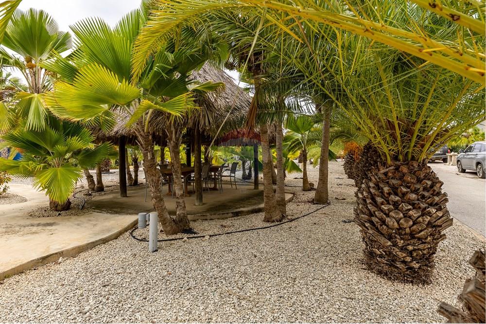 Villa - For Sale - Kralendijk, Bonaire, Bonaire - SDM_Photography_Remax_Watervilla10-42.jpg - 900171001-819