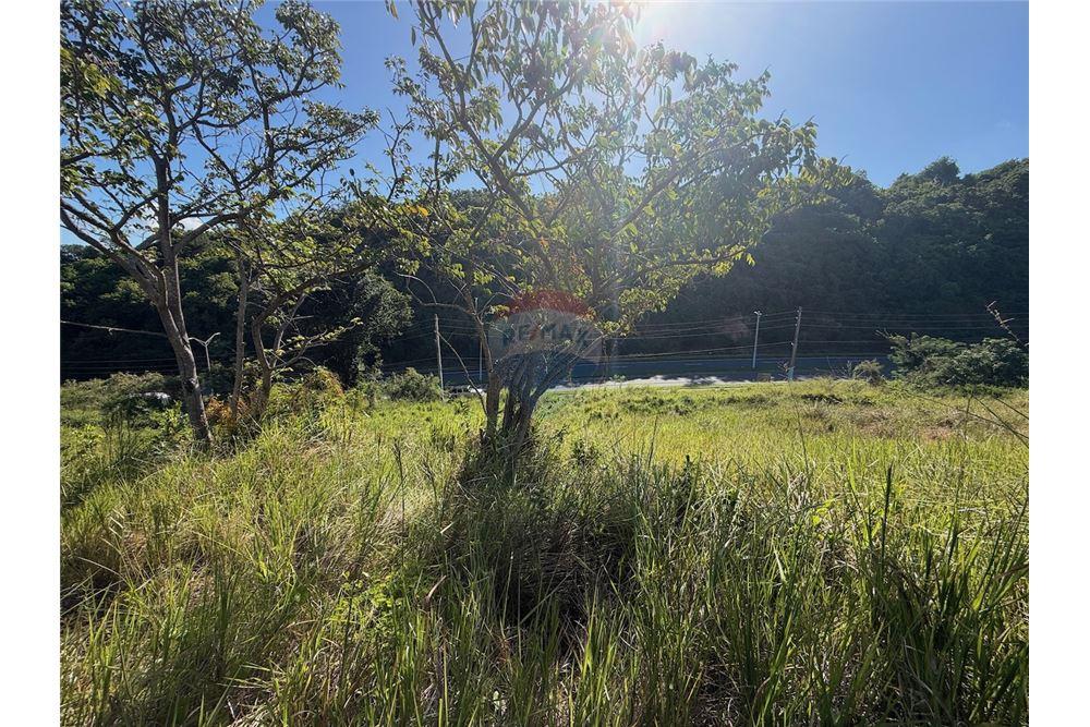 Land - For Sale - Fajardo, Fajardo, Puerto Rico - 5 - 90156038-96