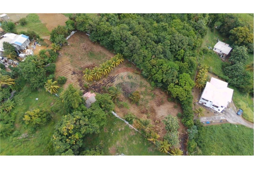 Comercial - Terrenos - Stubbs, St Vincent, St Vincent and the Grenadines - Caribbean & Central Ameri - 5 - 90109004-55