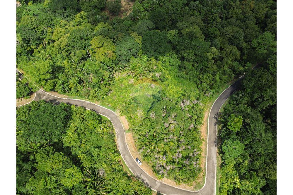 Surface commerciale - Autre terrain - Parrita - Esterillos, Puntarenas - Parrita, Costa Rica - Caribbean & Central Ameri - 18 - 90168039-31