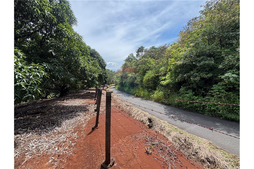 Grondstuk - Te Koop - Atenas, Alajuela- Atenas, Costa Rica - 4 - 90128002-974