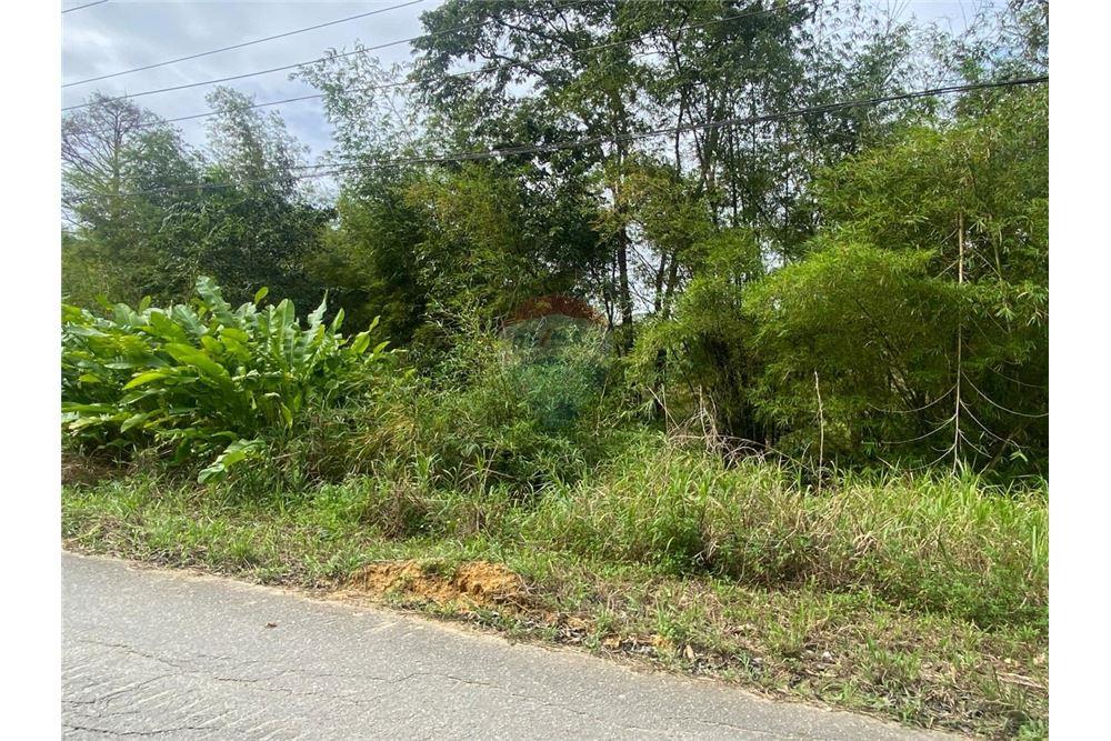Land - For Sale - Tabaquite, Caroni, Trinidad and Tobago - 6 - 90155109-151