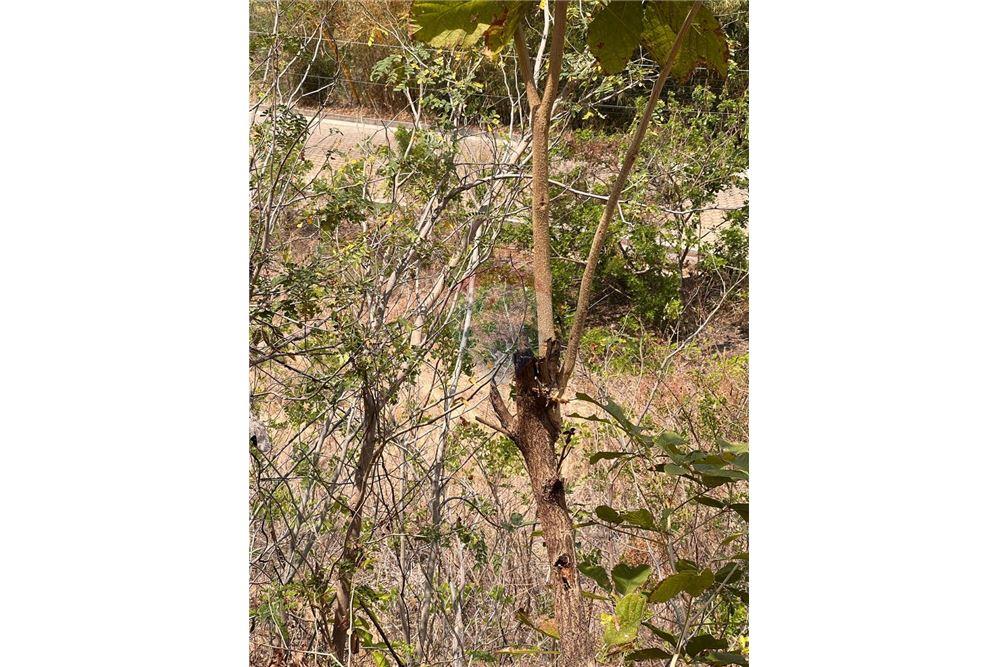 Land - For Sale - La Libertad, La Libertad, El Salvador - 7 - 902711005-26