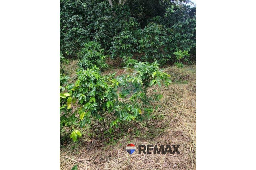 Land - For Sale - San Martin, San Salvador, El Salvador - 4 - 902501008-20