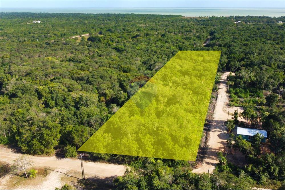 Surface commerciale - Autre terrain - Consejo, Corozal District, Belize - Caribbean & Central Ameri - 3 - 901411007-88