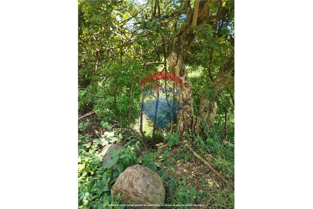 Land - For Sale - Panchimalco, San Salvador, El Salvador - 3 - 901901066-4