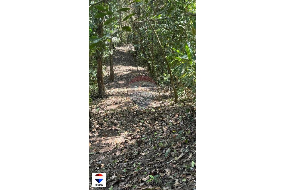 Comercial - Terrenos - Tarcoles - Quebrada Ganado, Puntarenas- Garabito, Costa Rica - Caribbean & Central Ameri - 22 - 90168030-59