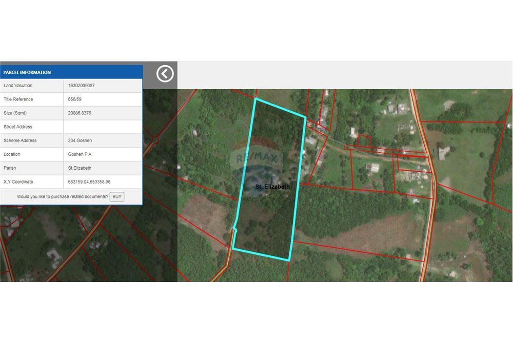 Land - For Sale - Santa Cruz, Saint Elizabeth, Jamaica - 5 - 901321002-8