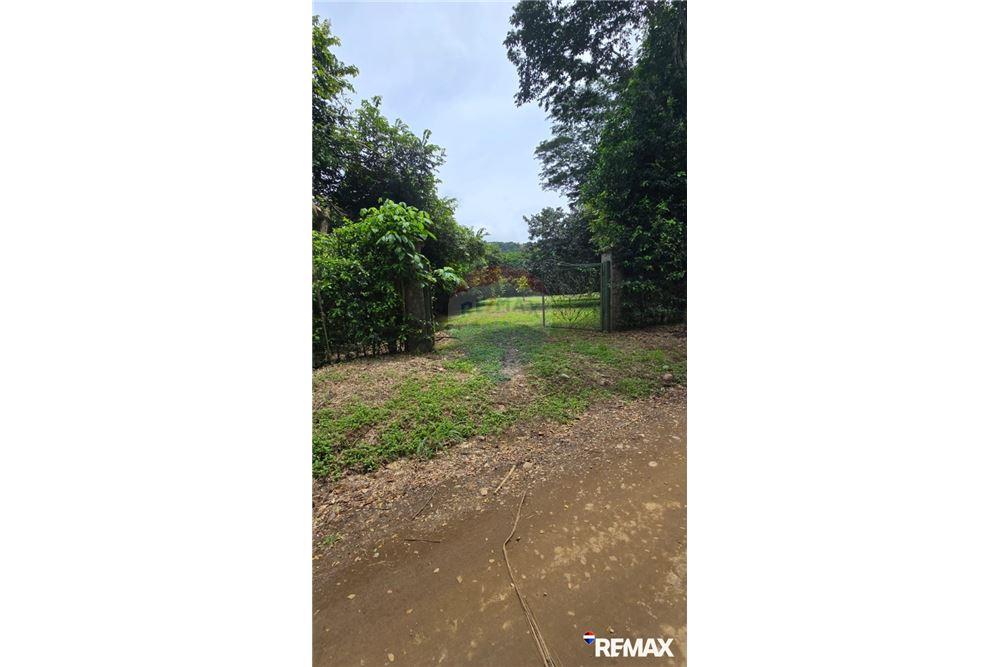 Commercial - Land - Jaco - Playa Hermosa, Puntarenas- Garabito, Costa Rica - Caribbean & Central Ameri - 9 - 90168005-700