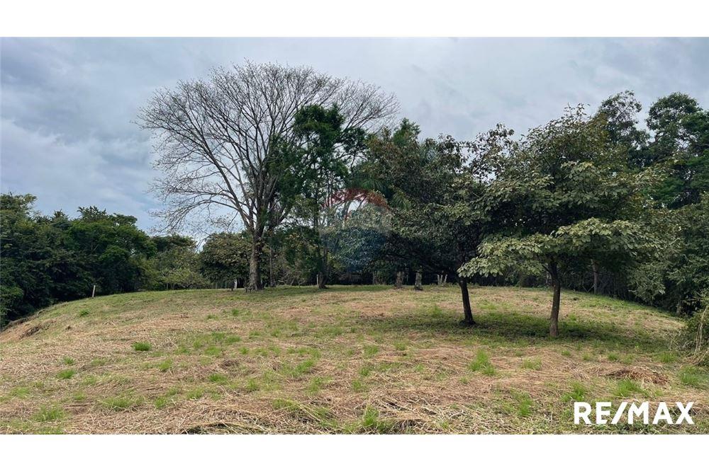 Commercio - Terreno - Puntarenas, Puntarenas - Puntarenas, Costa Rica - Caribbean & Central Ameri - 24 - 90168045-6