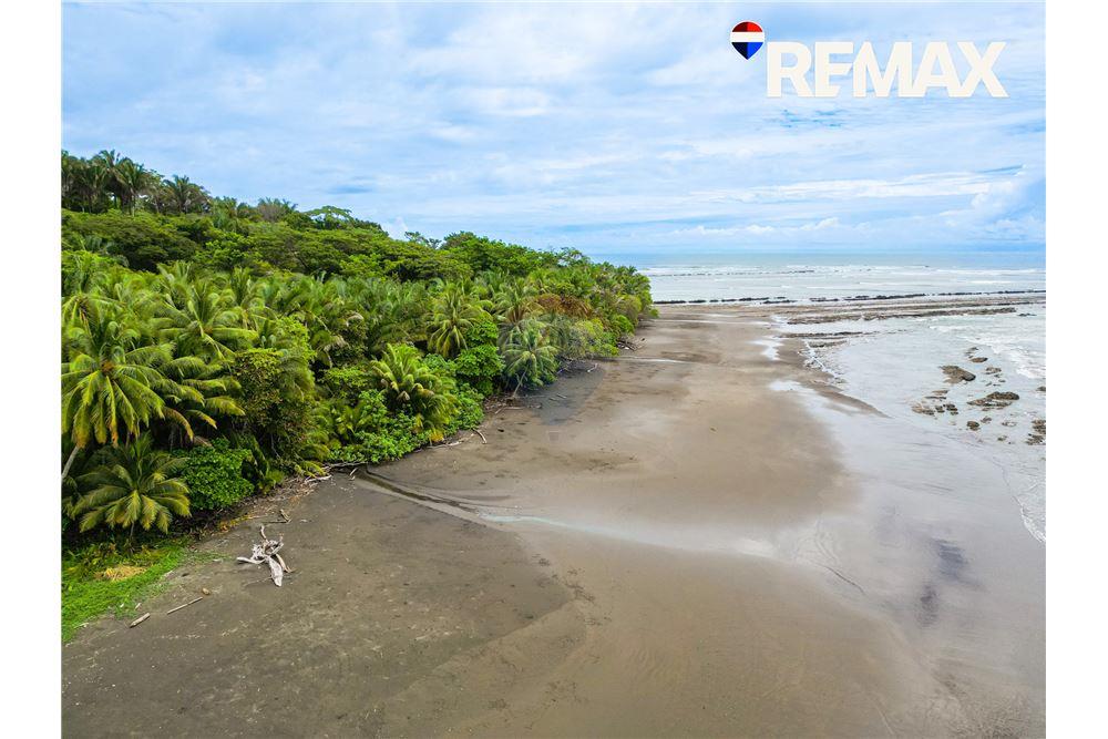 商业 - 土地 - Parrita - Esterillos, Puntarenas - Parrita, 哥斯达黎加 - Caribbean & Central Ameri - 7 - 90168050-29