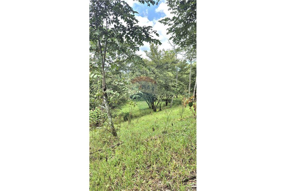 Commercial - Land - Atenas, Alajuela- Atenas, Costa Rica - Caribbean & Central Ameri - 9 - 90128007-183