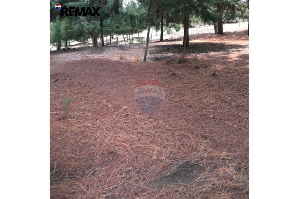 Land - For Sale - Santa Catarina Pinula, Guatemala, Guatemala - 5 - 902611001-88