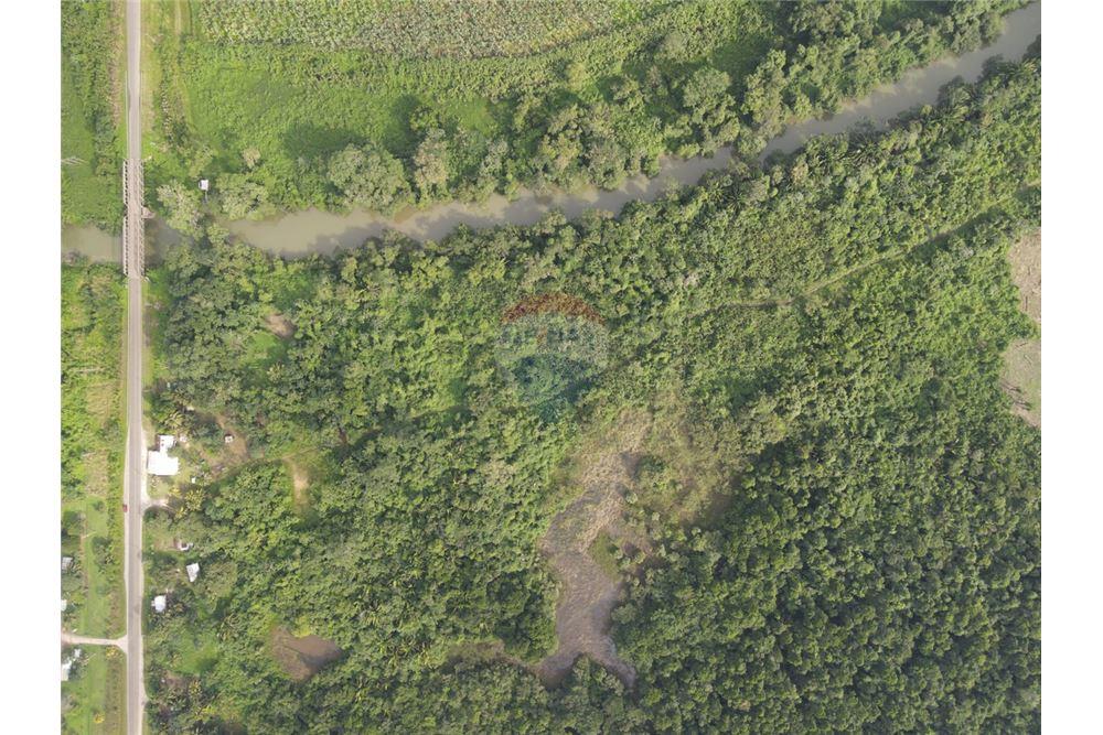 Comercial - Terrenos - Bella Vista, Toledo District, Belize - Caribbean & Central Ameri - 8 - 90127022-85