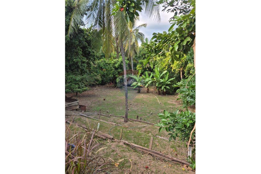 Villa - For Sale - Liguanea, Saint Andrew, Jamaica - 11 - 902411005-1