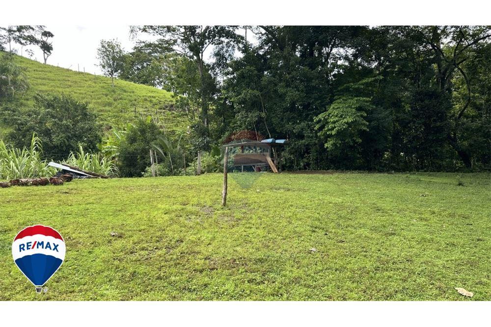 Commercio - Terreno - San José, San José, Costa Rica - Caribbean & Central Ameri - 15 - 90168030-67